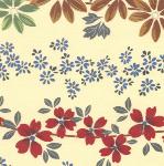 Enlarged image-4281
