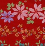 Enlarged image-4282