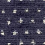 2000-1 Navy