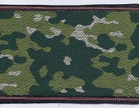 Enlarged image